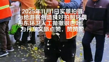 辽宁丹东银杏大道有环卫工人手动抛撒落叶？文旅局：路面落叶较少，从别处收集银杏叶创造良好拍照环境