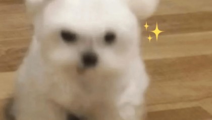 全球最大“时空压缩机”来了！完全自主研发，就在……