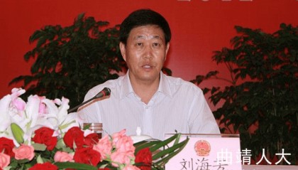 退休9年后,刘海芳主动投案