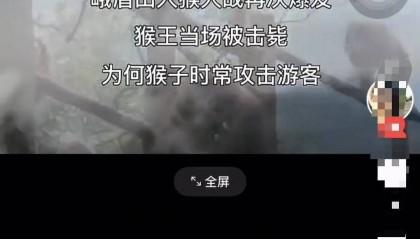 四川峨眉山“人猴大战,游客坠崖,猴王被射杀”?景区辟谣:多年前就在网络传播,没发生过这种事