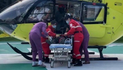 深圳一市民突遭马蜂围袭！已进入高发期，千万别招惹！