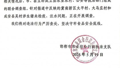 河北邯郸通报被曝涉生猪未检疫、注水问题:正在开展调查