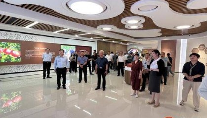 枣庄市市中区政协视察全区乡村振兴工作