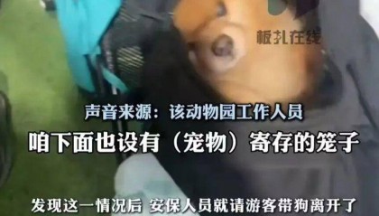 游客带宠物狗进熊猫馆？园方：放包里偷带进去的，已加强管理