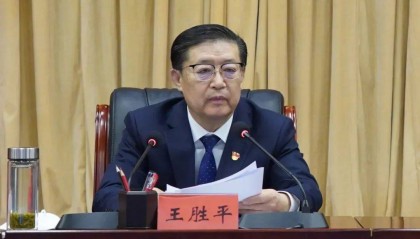 王胜平,被查
