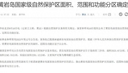 国务院批准，仁爱礁问题有了解决范例，菲律宾气急败坏，提出了“外交抗议”
