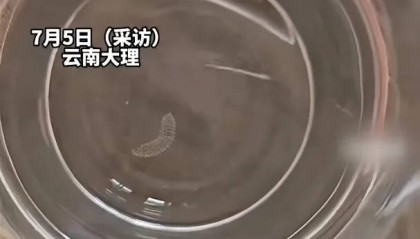 女子喝了隔夜水里的蚊子卵!专家:没事