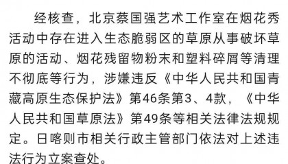 “烟花秀”蔡国强工作室被依法立案查处