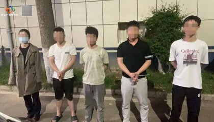 破门而入!武汉警方一举抓获32名“白富美”