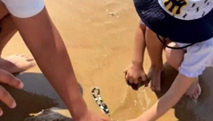 青岛赶海沙滩中挖出手机，潍坊热心游客物归原主