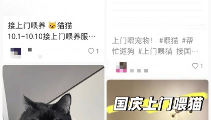 需求激增！男子长假连接270单，其中一笔收费8100元，“我有多套房，有双学位，客户很信任”；律师提醒→