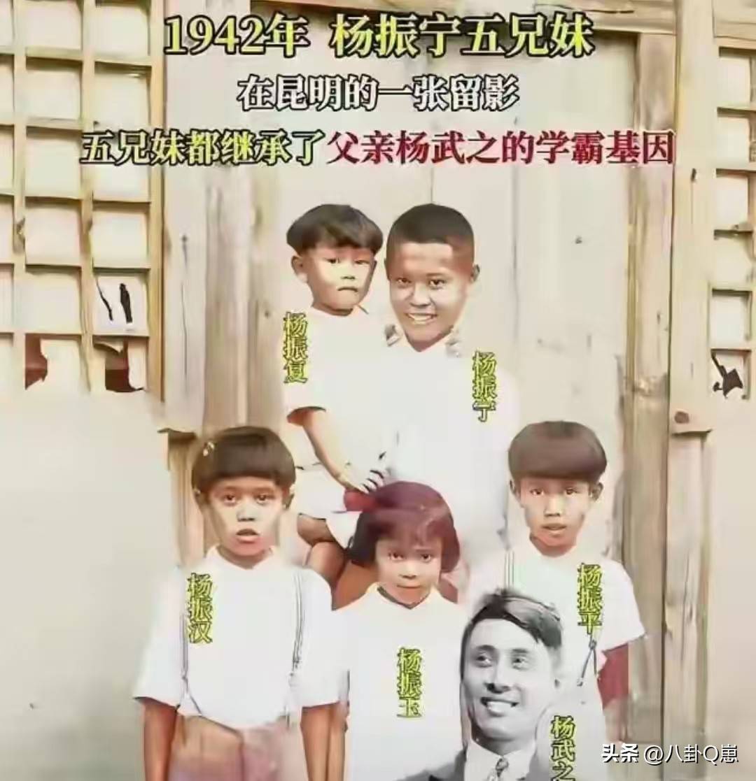 不查不知道,一查吓一跳!杨振宁的弟弟杨振汉,人生活的这么精彩