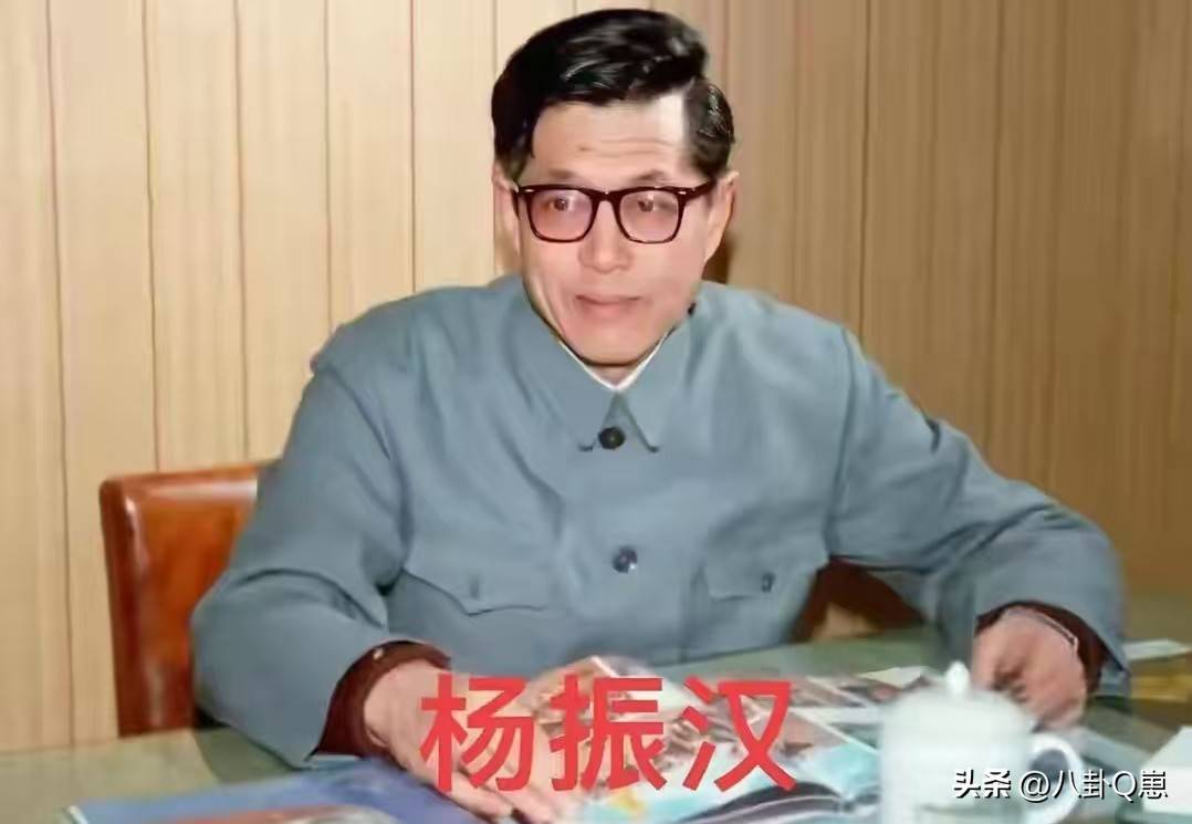 不查不知道,一查吓一跳!杨振宁的弟弟杨振汉,人生活的这么精彩