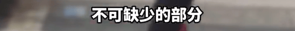 养了四年的宠物鸭被汽车碾死，老太太当街包鸭痛哭，目击者：她老伴重病，鸭子是用来祈福的