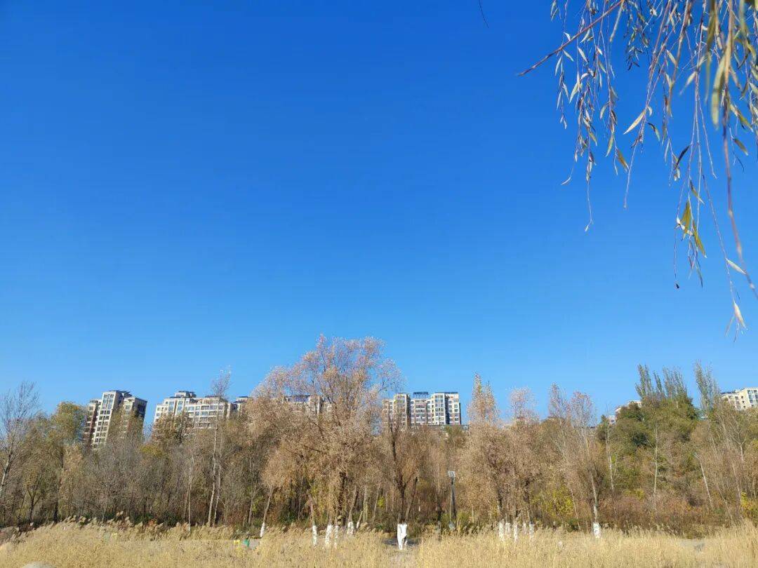 新一股强冷空气将重磅登场 大风降温随行